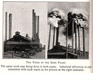 TwoPlants-BeforeandAfter.pdf
