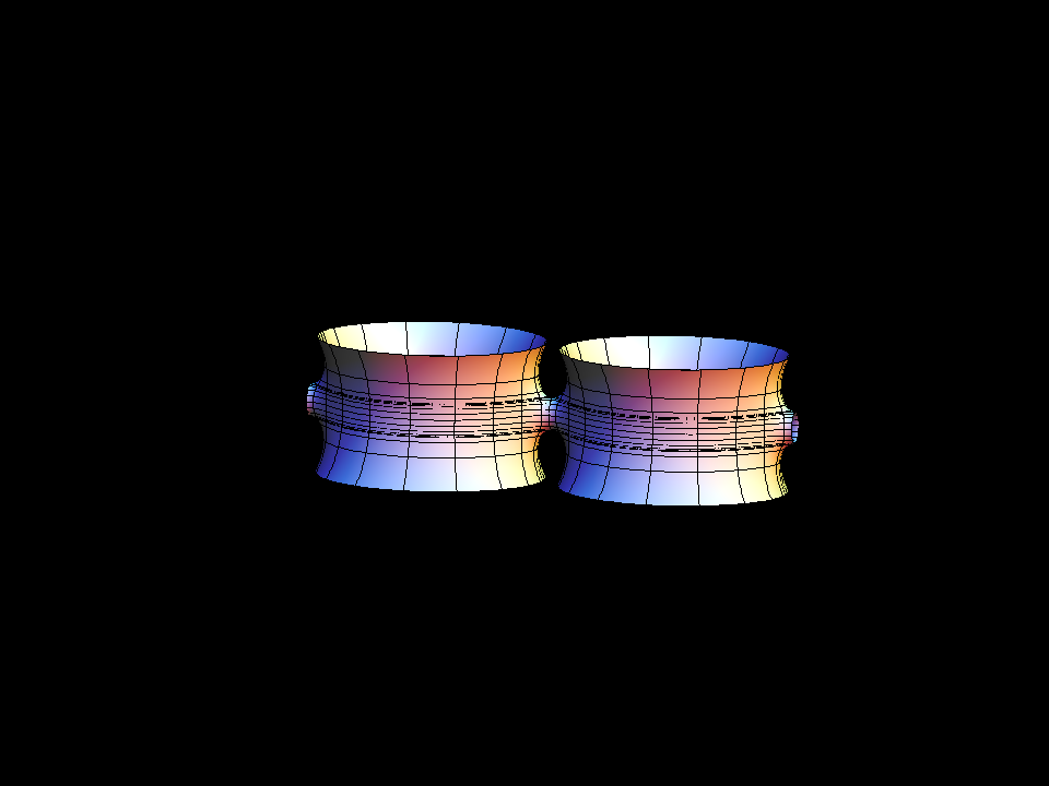 catenoid fence grow 001