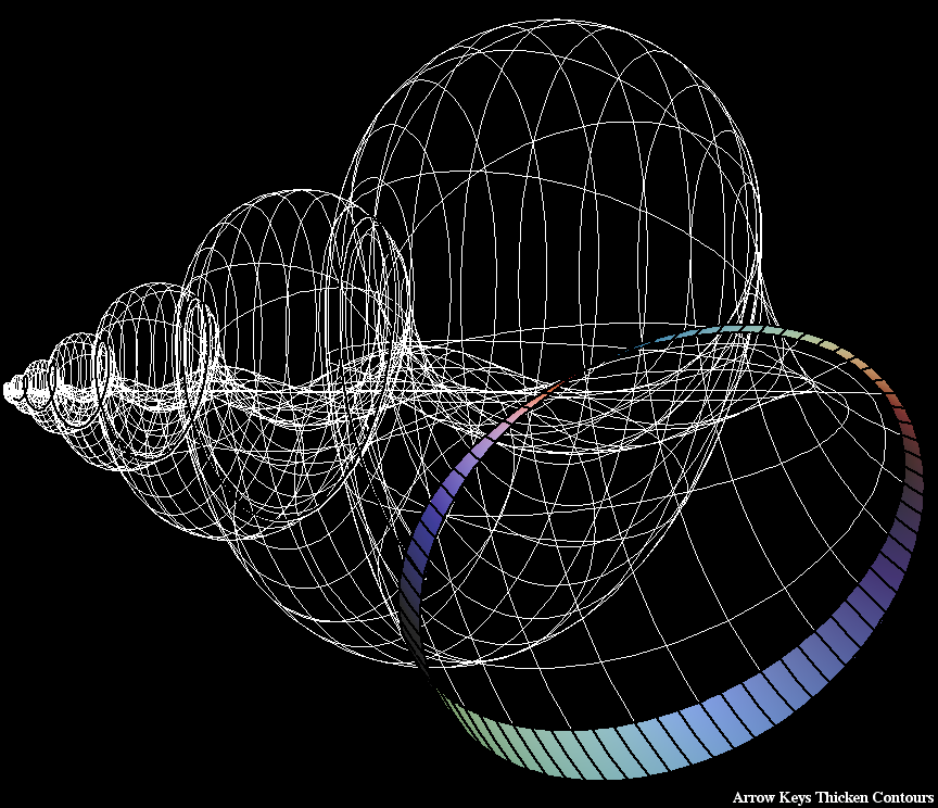 snail shell circles 001