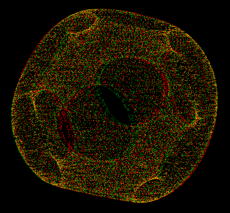 orthocircles flow 001