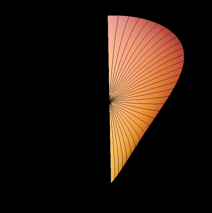 steiner surface grow 001